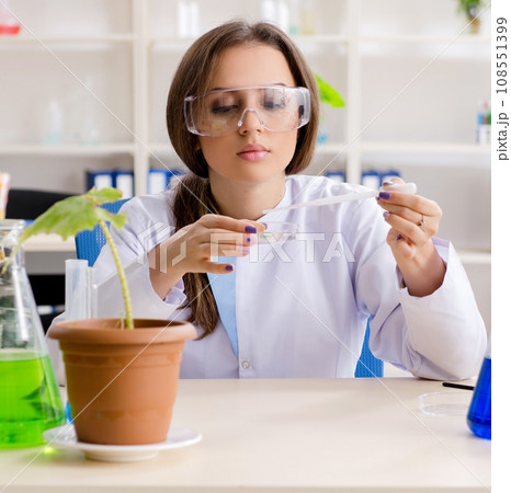 Young beautiful biotechnology chemist working in the lab Young beautiful biotechnology chemist working in the lab 108551399
