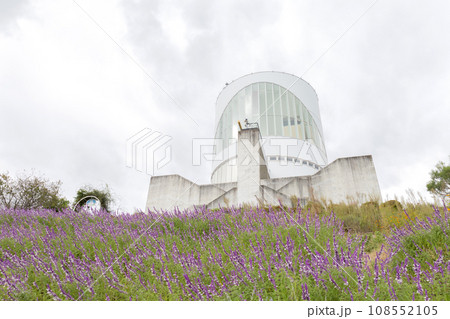 松田山ハーブガーデン 108552105