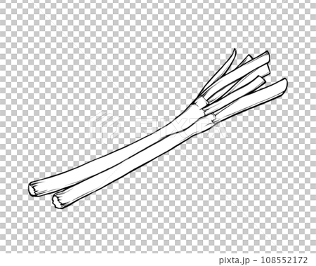 綠洋蔥的寫實線條畫插圖 108552172