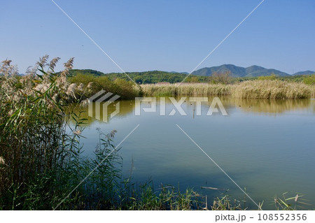 ラムサール条約で保護される宍道湖岸のビオトープ 108552356