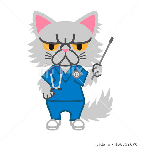 ペルシャ猫のキャラクター　外科医 108552670