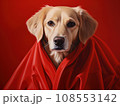Superhero rescue dog in a red cloak on red background isolated AI 108553142