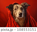 Superhero rescue dog in a red cloak on red background isolated AI 108553151