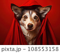 Superhero rescue dog in a red cloak on red background isolated AI 108553158