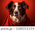 Superhero rescue dog in a red cloak on red background isolated AI 108553159
