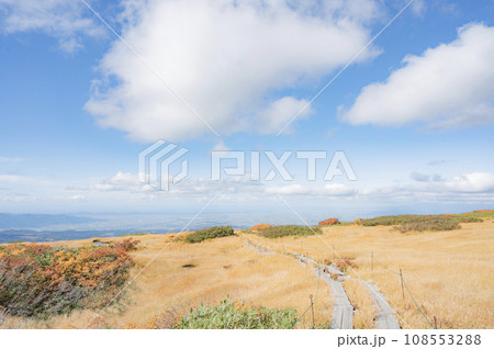 山形　秋の月山（弥陀ヶ原） 108553288