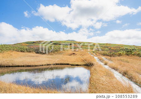 山形　秋の月山（弥陀ヶ原） 108553289