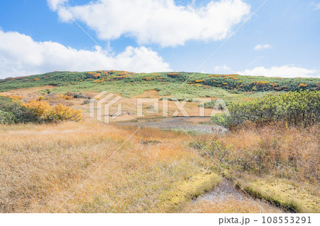 山形　秋の月山（無量の池） 108553291