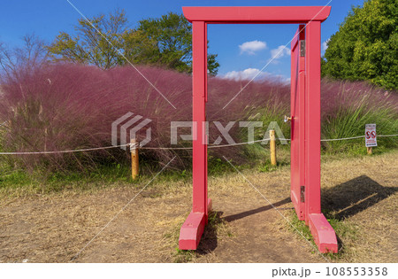 万博公園 ミューレンベルギア 万博公園 ミューレンベルギア 108553358