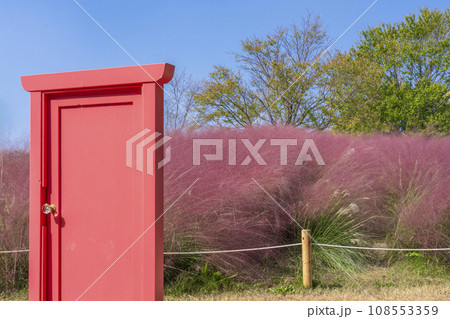 万博公園　ミューレンベルギア 108553359