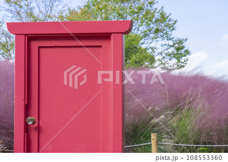 万博公園　ミューレンベルギア 108553360