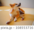 身体を搔いている柴犬 108553716