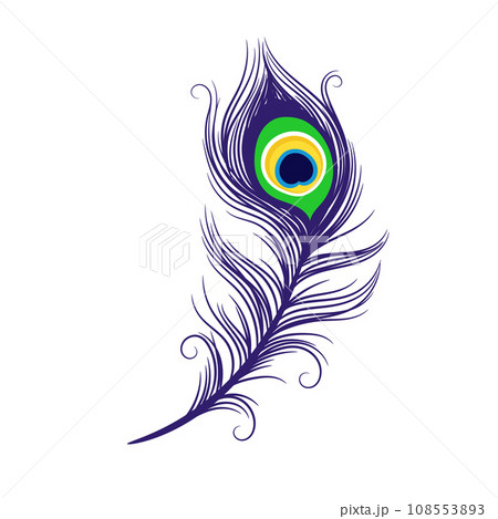 Peacock feathers on a white background 108553893