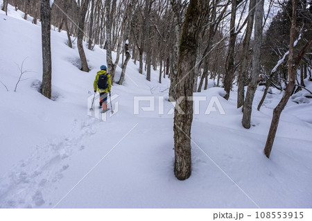 スノーシュートレッキングのイメージ(恩原湖周辺) スノーシュートレッキングのイメージ(恩原湖周辺) 108553915