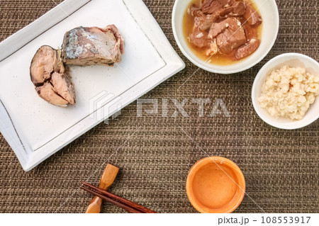 清酒と酒の肴|真俯瞰 清酒と酒の肴|真俯瞰 108553917