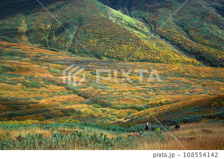 秋の月山 108554142