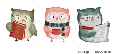 Owl bird . Christmas theme . Watercolor paint cartoon characters . Isolated . Set 4 of 4 . illustration . 108554640