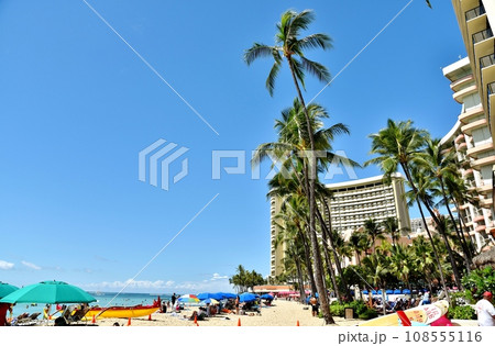 ハワイの休日 108555116