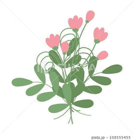 Abstract isolated bouquet of spring twigs with small leaves, flowering branches and frizzy plants Abstract isolated bouquet of spring twigs with small leaves, flowering branches and frizzy plants 108555455