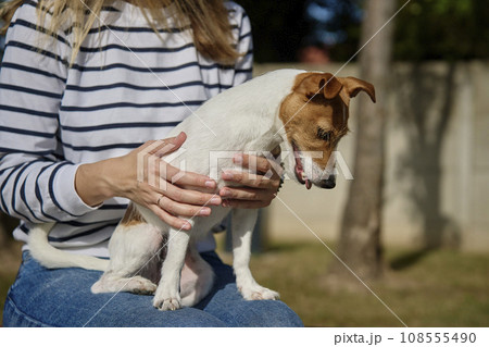 Woman is stroking dog. Female owner is spending time together with pet outdoors. Friendship between animal and people. Woman is stroking dog. Female owner is spending time together with pet outdoors. Friendship between animal and people. 108555490