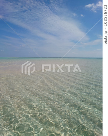 南の島の青い空と海 108556723