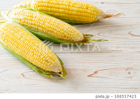 fresh corn on wood background fresh corn on wood background 108557423