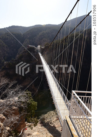渓谷の白い吊橋 108557906