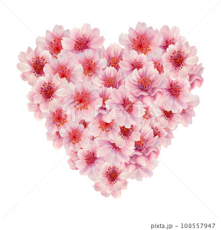 Watercolor pink heart drawn from cherry blossom flowers 108557947