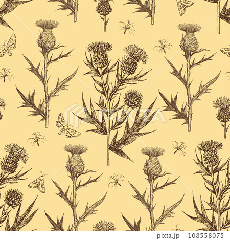 Seamless pattern with thistle flowers and buds. Ink hand-drawn detailed illustration. Vector graphic. 108558075