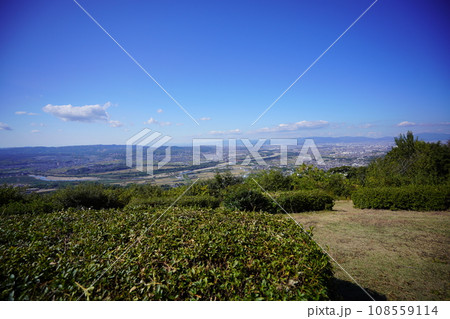 万灯呂山展望台から木津川の流れを見下ろす大パノラマ 108559114