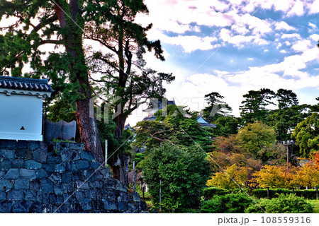 小田原城天守閣と隅櫓の風景 小田原城天守閣と隅櫓の風景 108559316