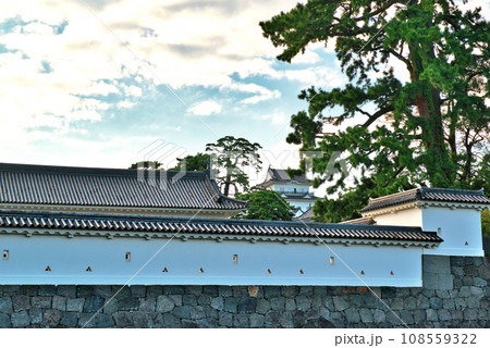 小田原城天守閣と隅櫓の風景 小田原城天守閣と隅櫓の風景 108559322