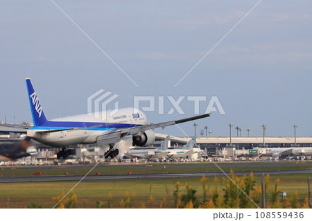着陸する旅客機　成田空港に到着した旅客機　ANA機 108559436