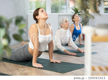 Girl doing Urdhva Mukha Shvanasana during group yoga workout 108561023