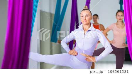 Group of beautiful yoga women doing aerial yoga practice in hammocks in fitness club Group of beautiful yoga women doing aerial yoga practice in hammocks in fitness club 108561581