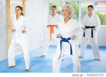 Group of women training karate techniques in studio 108561779