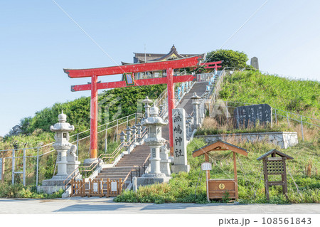 青森県八戸市 ウミネコの繁殖地として有名な蕪嶋神社 青森県八戸市 ウミネコの繁殖地として有名な蕪嶋神社 108561843