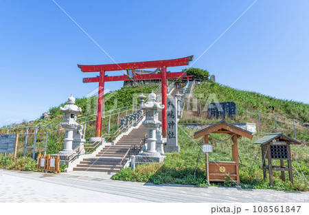 青森県八戸市 ウミネコの繁殖地として有名な蕪嶋神社 青森県八戸市 ウミネコの繁殖地として有名な蕪嶋神社 108561847