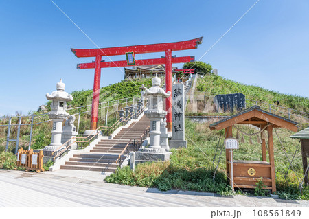 青森県八戸市　ウミネコの繁殖地として有名な蕪嶋神社 108561849