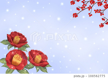 椿と南天の背景　寒中お見舞い　雪景色 108562775