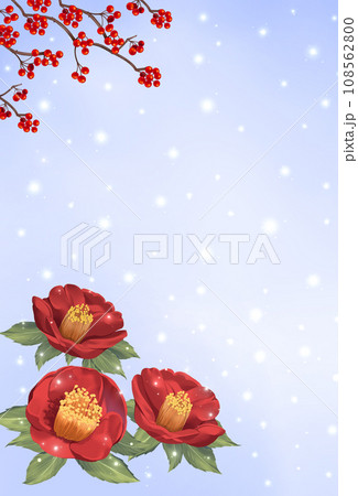 椿と南天の背景　寒中お見舞い　雪景色 108562800