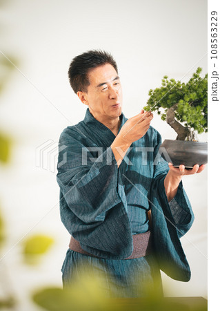 趣味の盆栽を眺めるシニア男性 108563229