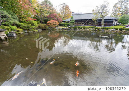 秋のもみじ公園の風景 山形県山形市 秋のもみじ公園の風景 山形県山形市 108563279