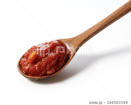 トマトソース 108563589