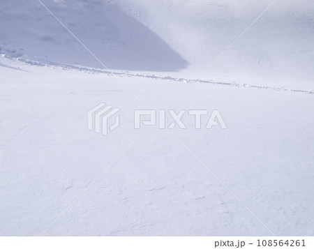 雪上の足跡 雪上の足跡 108564261