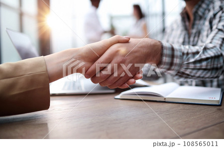 businessman shaking hands businessman in the office 108565011