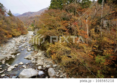 岐阜県奥飛騨温泉郷・紅葉の時期の蒲田川 岐阜県奥飛騨温泉郷・紅葉の時期の蒲田川 108565218