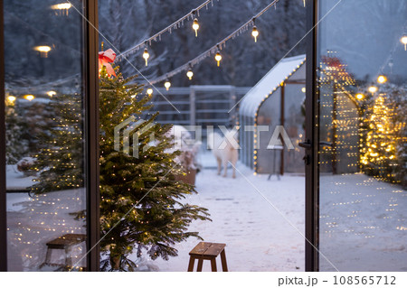 Beautiful snowy backyard on winter holidays Beautiful snowy backyard on winter holidays 108565712