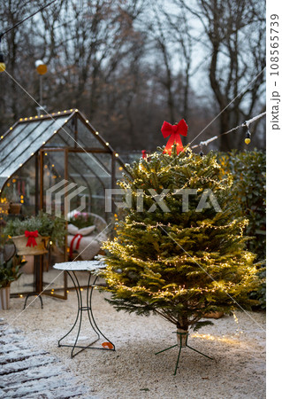Christmas tree illuminated with garland and decorated with red bow outdoors 108565739