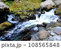 渓流 108565848